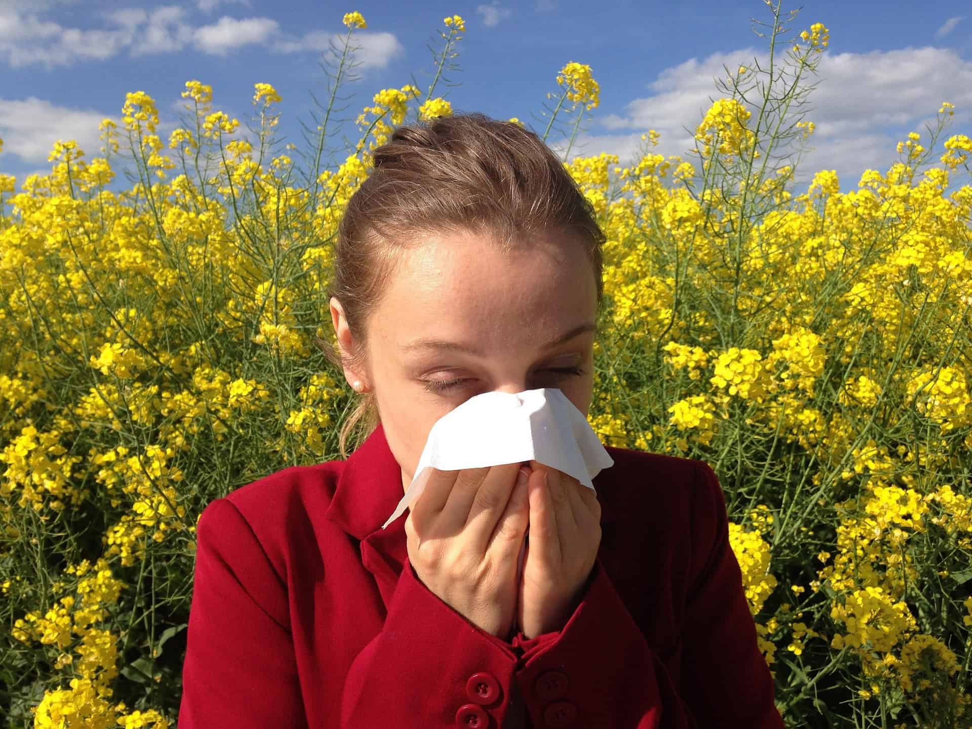 A woman with hay fever, standing in front of a field of yellow flowers, sneezes into a tissue
